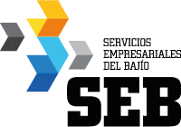 SEB Logo